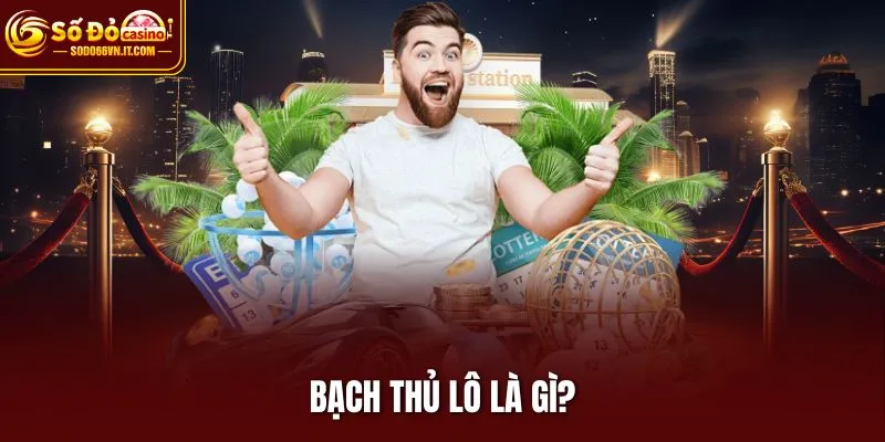 Bạch thủ lô là gì?