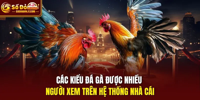 Các kiểu đá gà được nhiều người xem trên hệ thống nhà cái