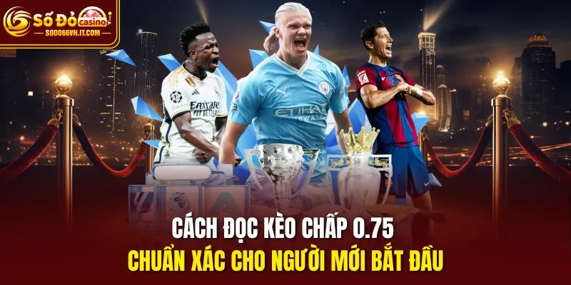 Cách đọc kèo chấp 0.75 chuẩn xác cho người mới bắt đầu